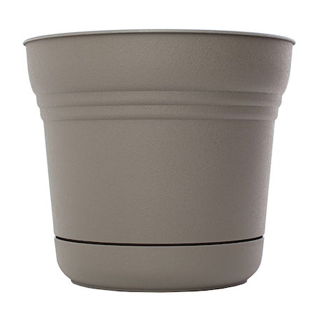 Bloem Bloem Saturn 4.5 in. H X 5 in. W Plastic Traditional Planter Charcoal SP05908